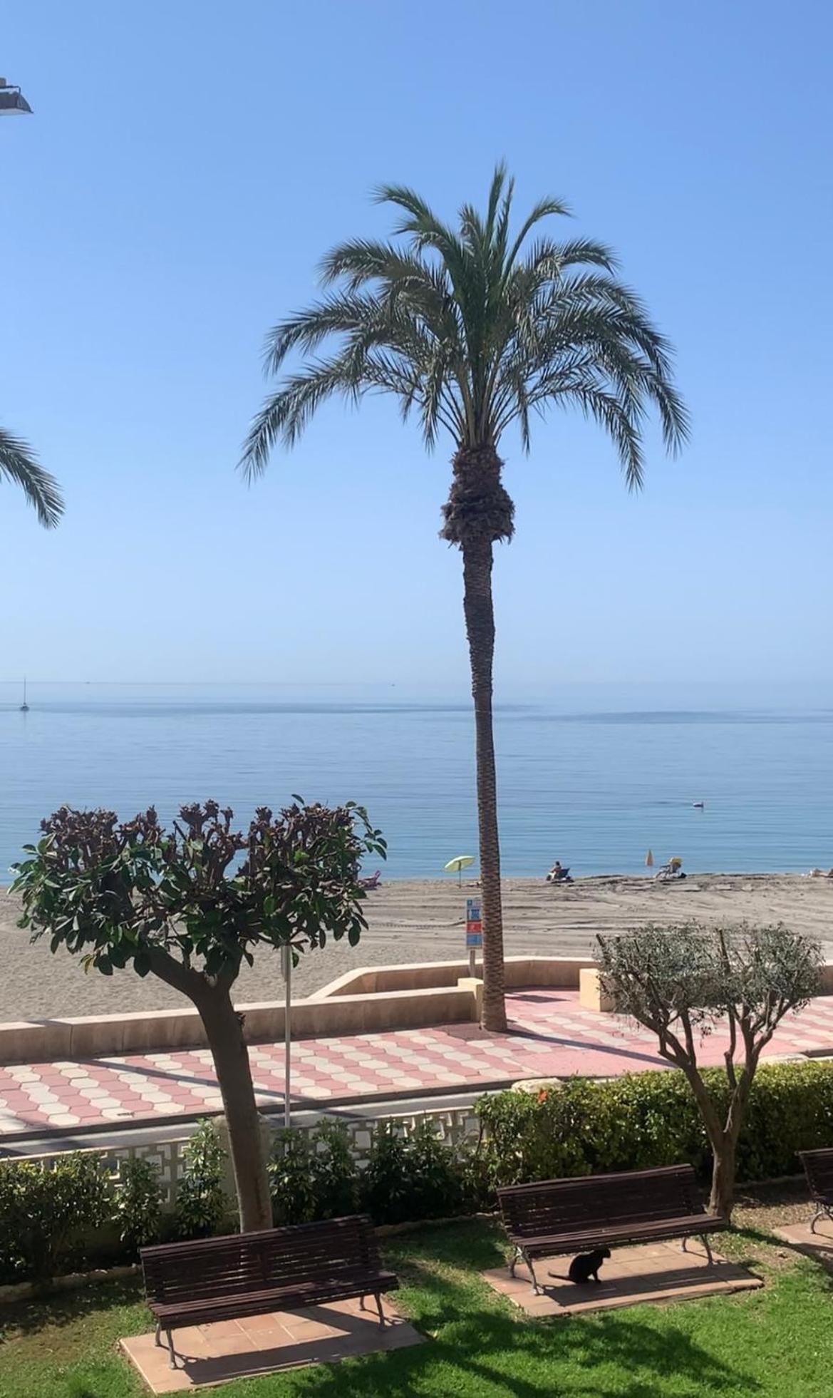 Brisas Del Mar Mediterraneo Aguadulce  Eksteriør bilde